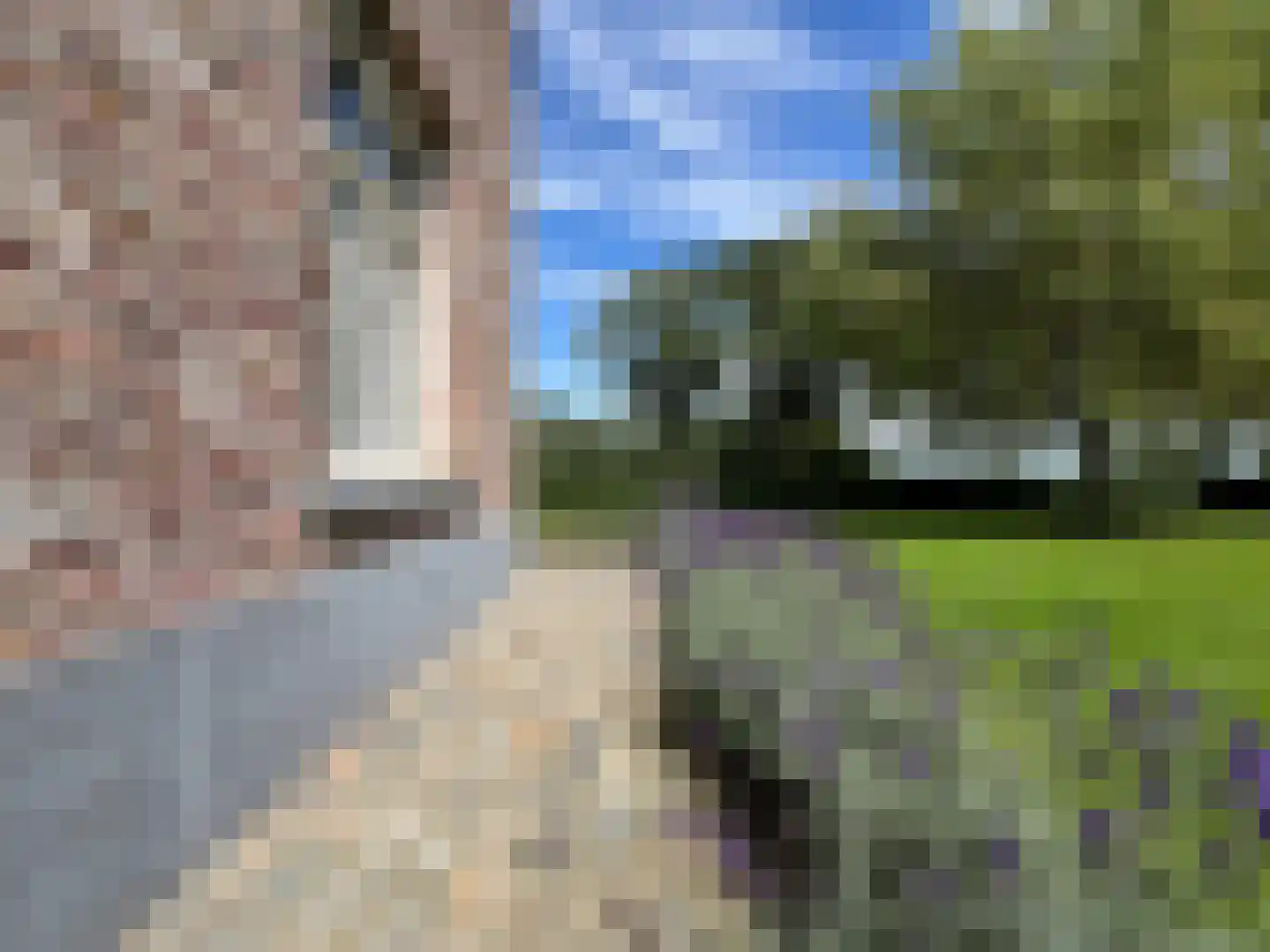 Smedekensbrugge 14 Aardenburg thumbnail 48