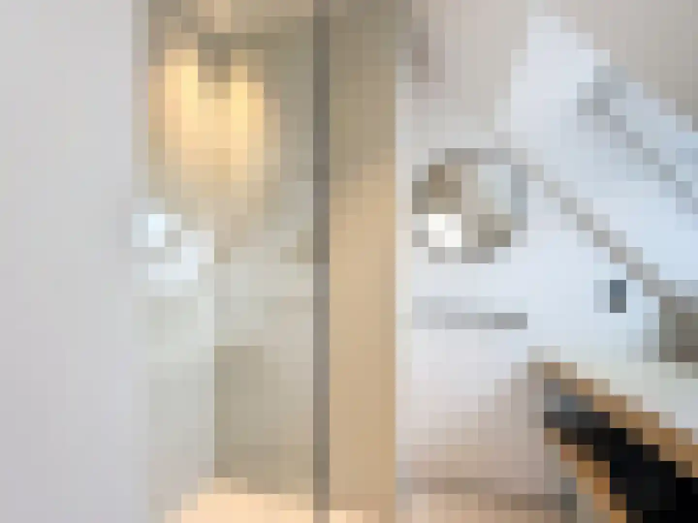 Smedekensbrugge 18 Aardenburg thumbnail 19