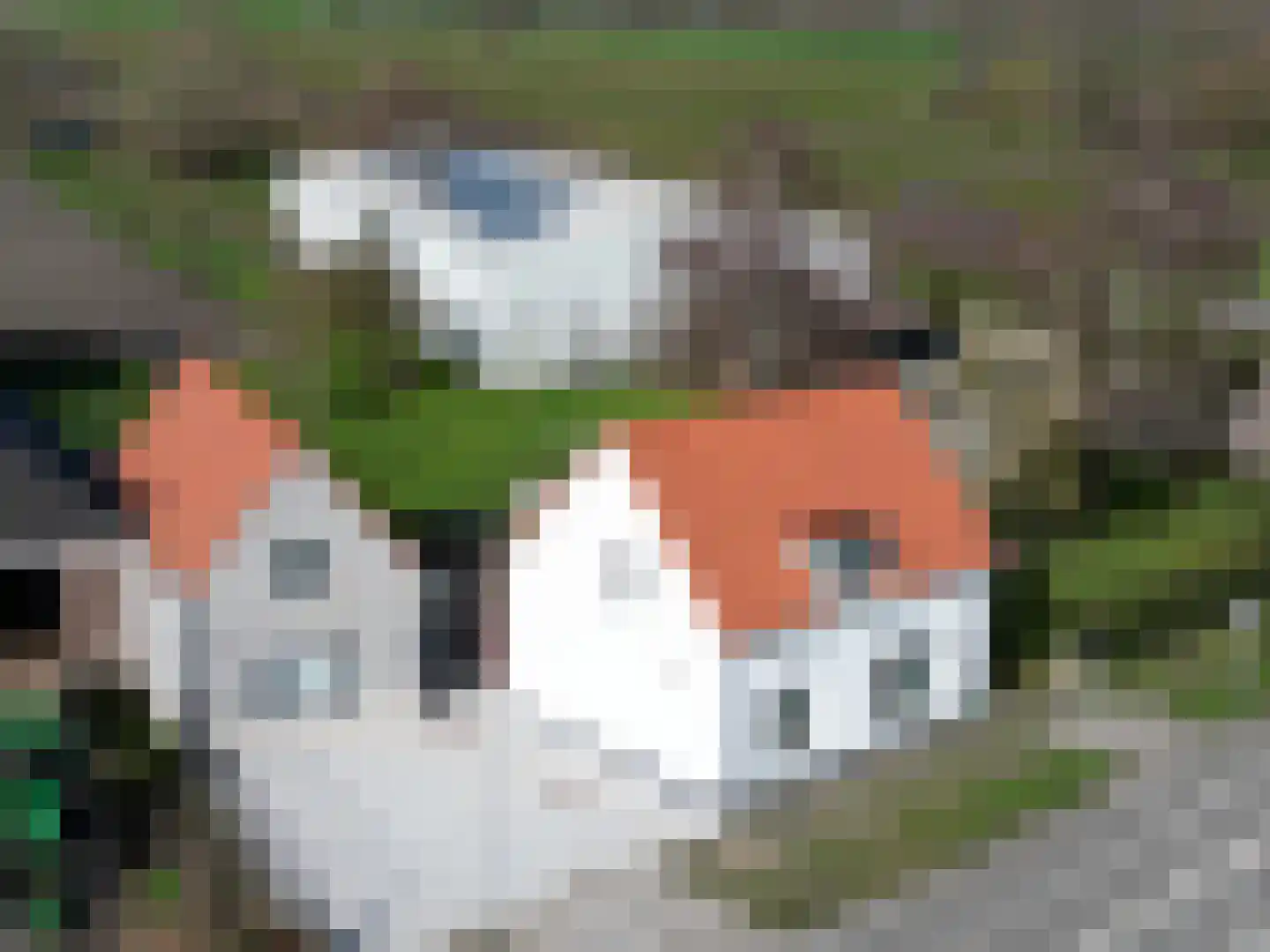 Smedekensbrugge 18 Aardenburg thumbnail 25