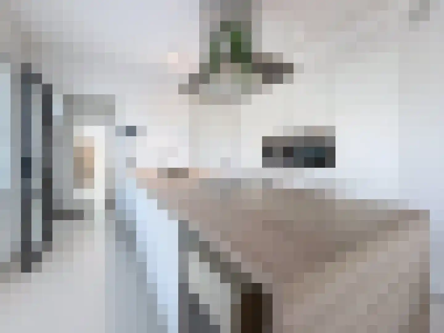 Smedekensbrugge 18 Aardenburg thumbnail 6