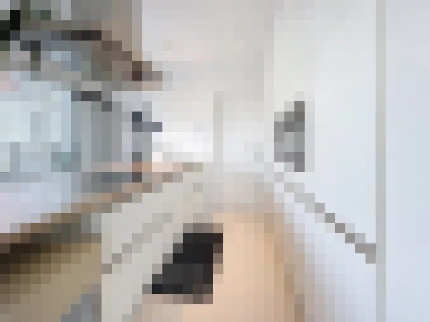 Smedekensbrugge 18 Aardenburg thumbnail 7