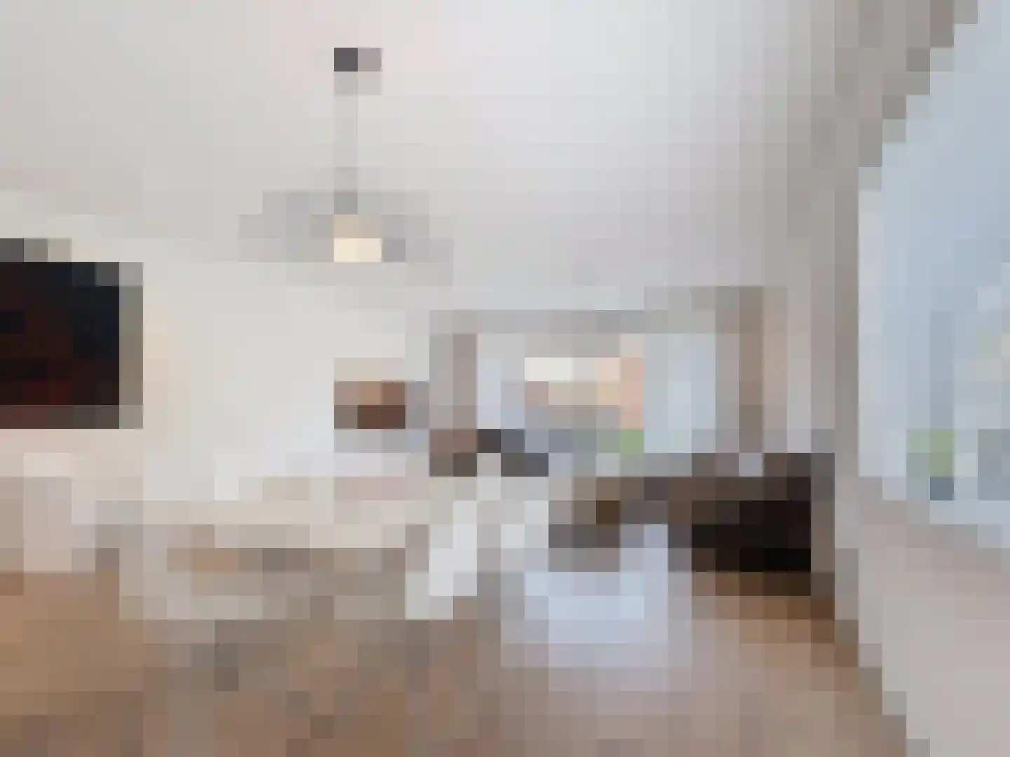 Smedekensbrugge 18 Aardenburg thumbnail 9