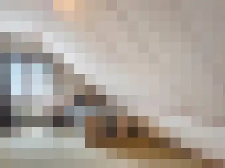 Smedekensbrugge 20 Aardenburg thumbnail 18