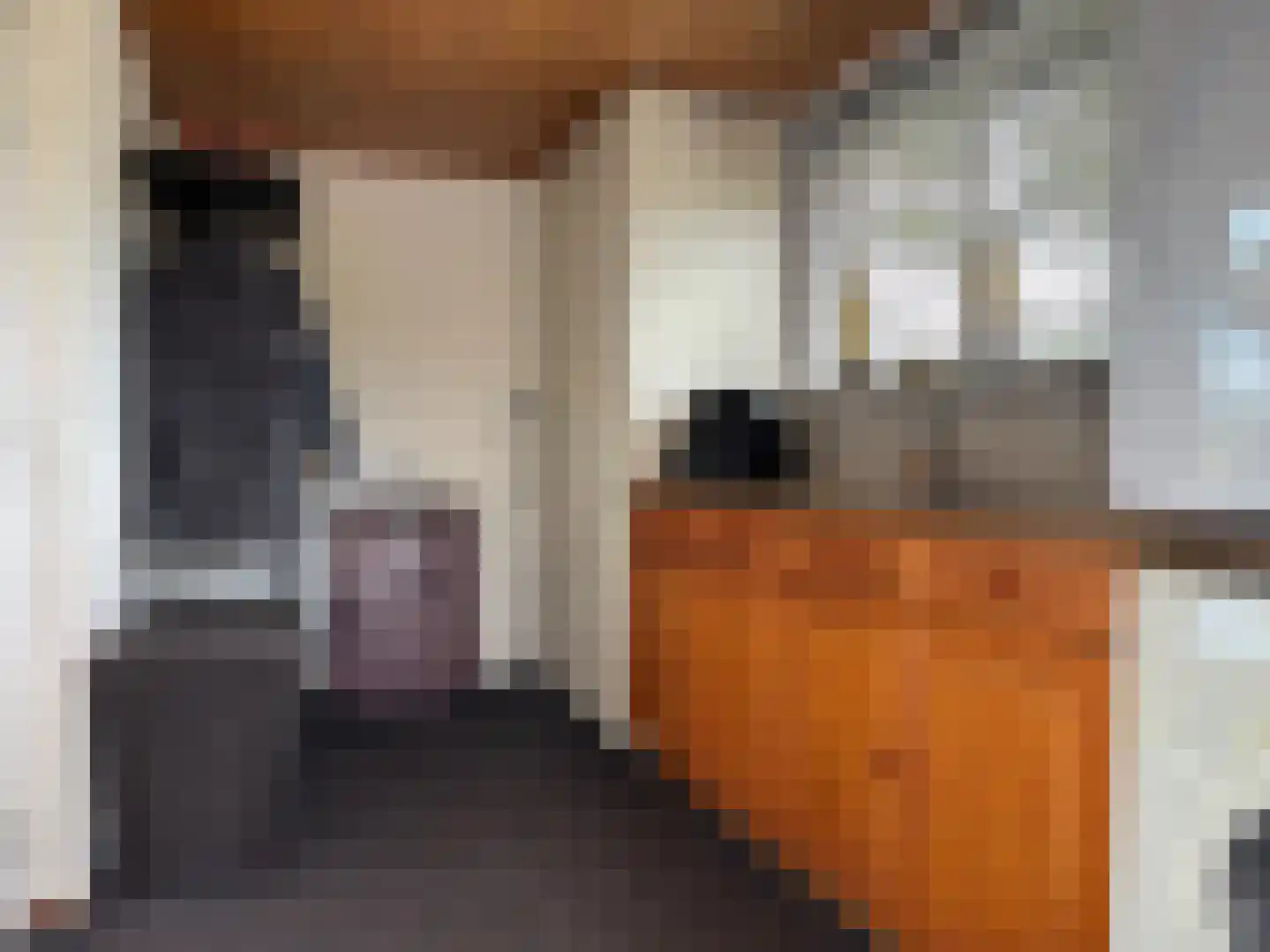 Smedekensbrugge 3 Aardenburg thumbnail 15