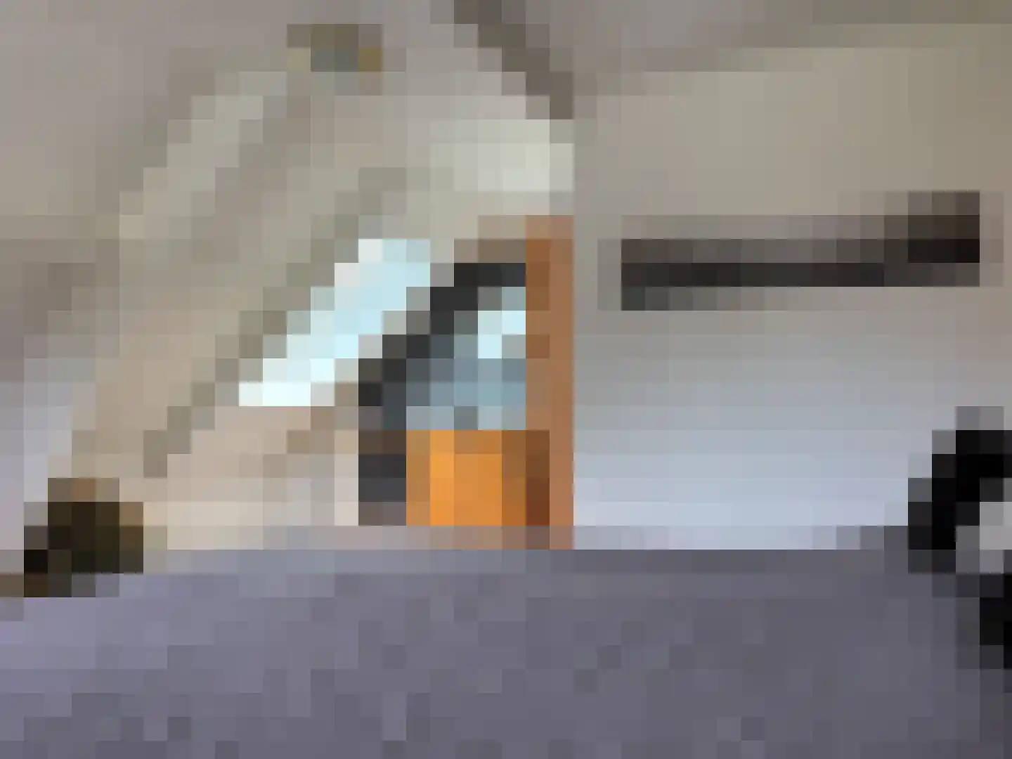 Smedekensbrugge 3 Aardenburg thumbnail 23