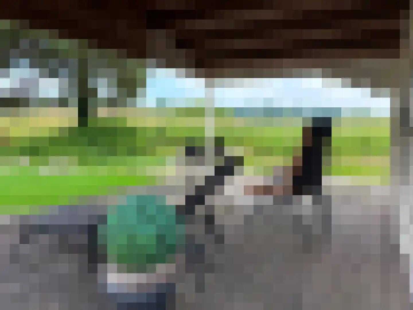 Smedekensbrugge 3 Aardenburg thumbnail 30