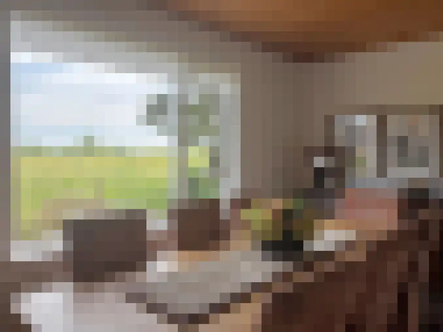 Smedekensbrugge 3 Aardenburg thumbnail 4