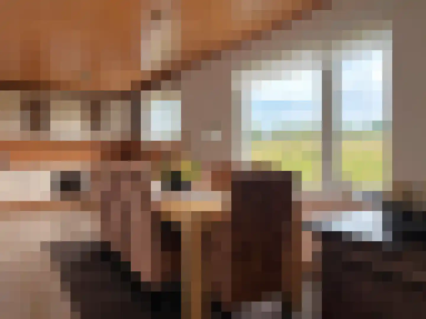 Smedekensbrugge 3 Aardenburg thumbnail 5