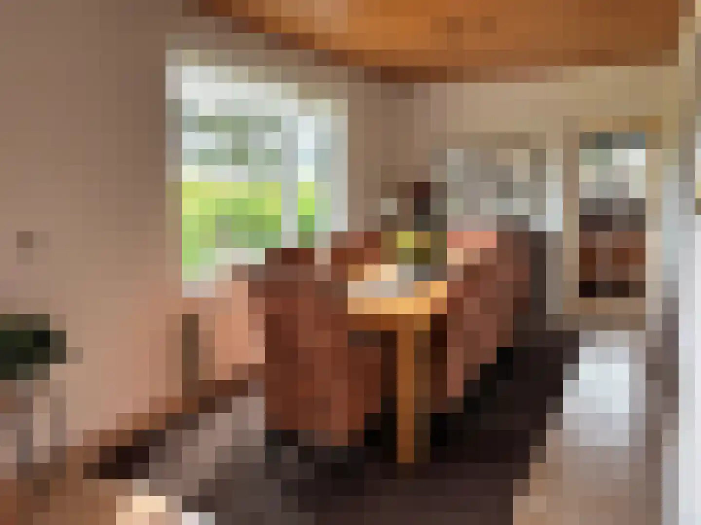 Smedekensbrugge 3 Aardenburg thumbnail 9
