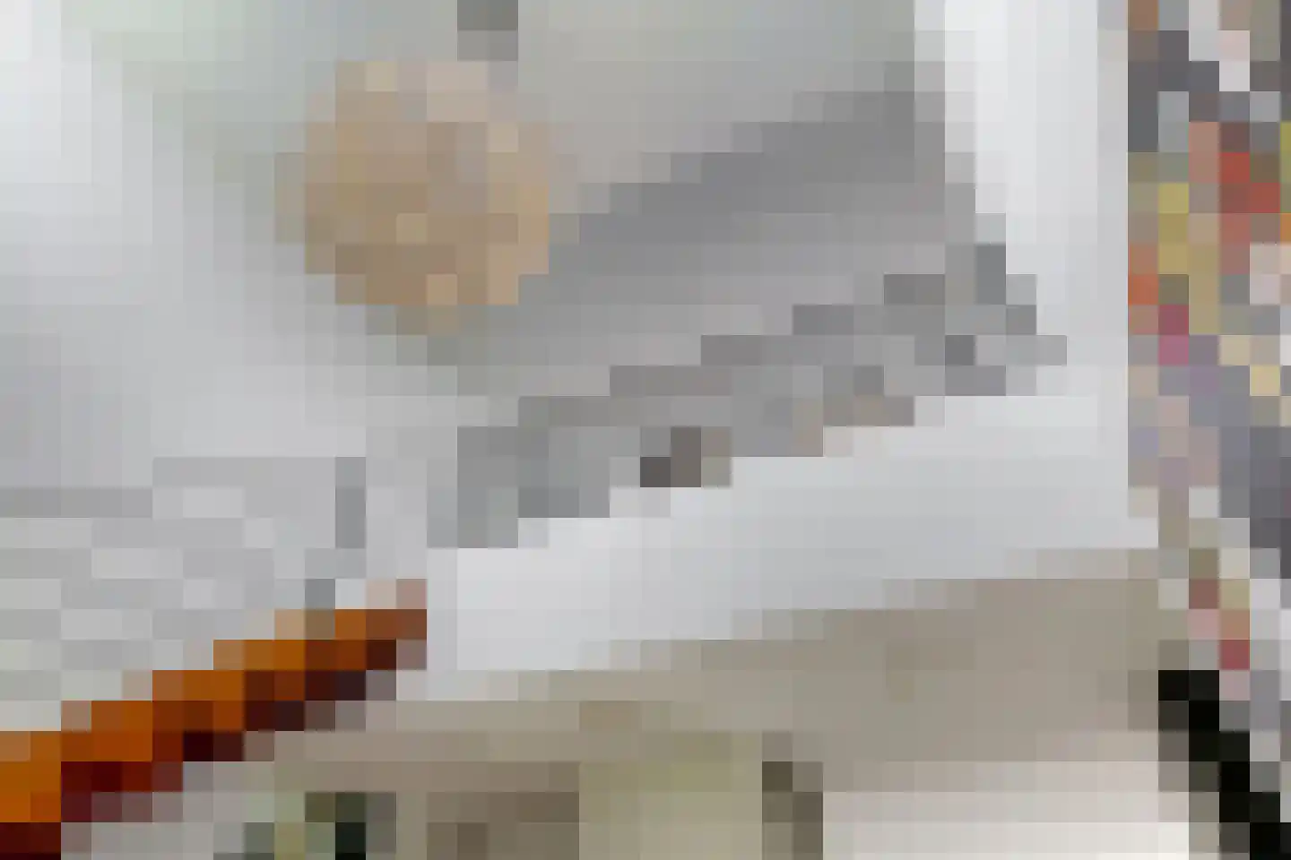 Smedeman 1 Nieuw-Vennep thumbnail 23