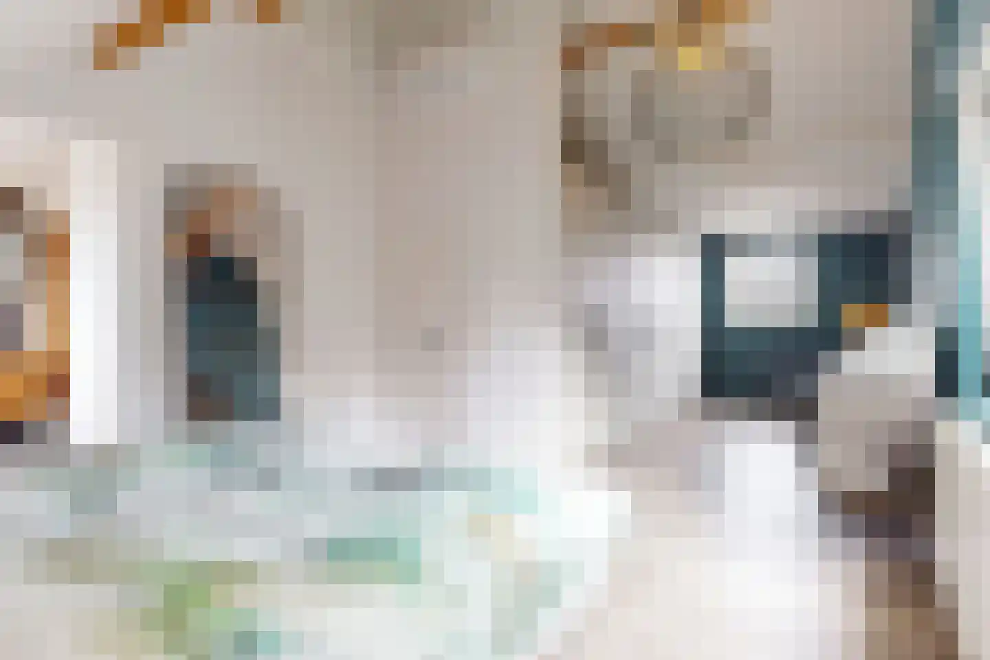 Smedeman 1 Nieuw-Vennep thumbnail 28