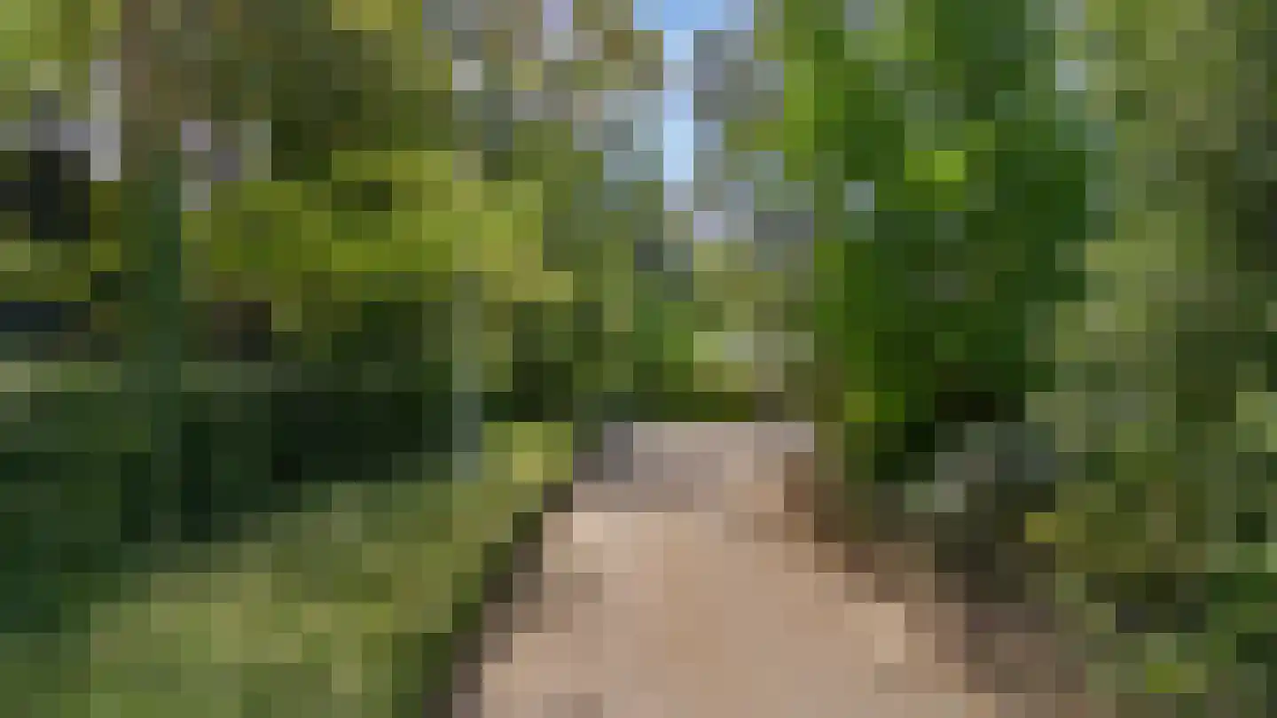 Smedeman 1 Nieuw-Vennep thumbnail 43