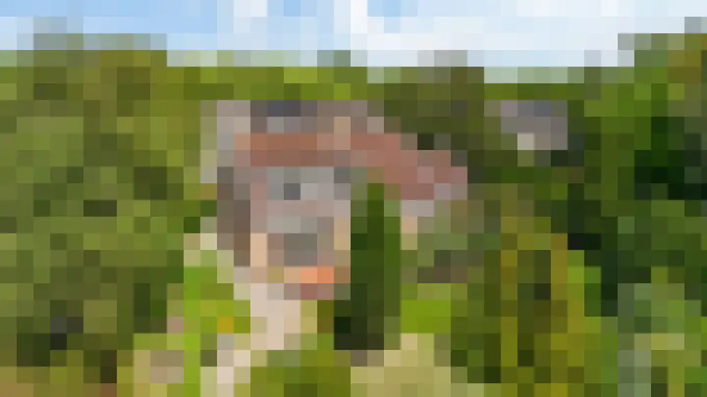 Smedeman 1 Nieuw-Vennep thumbnail 44