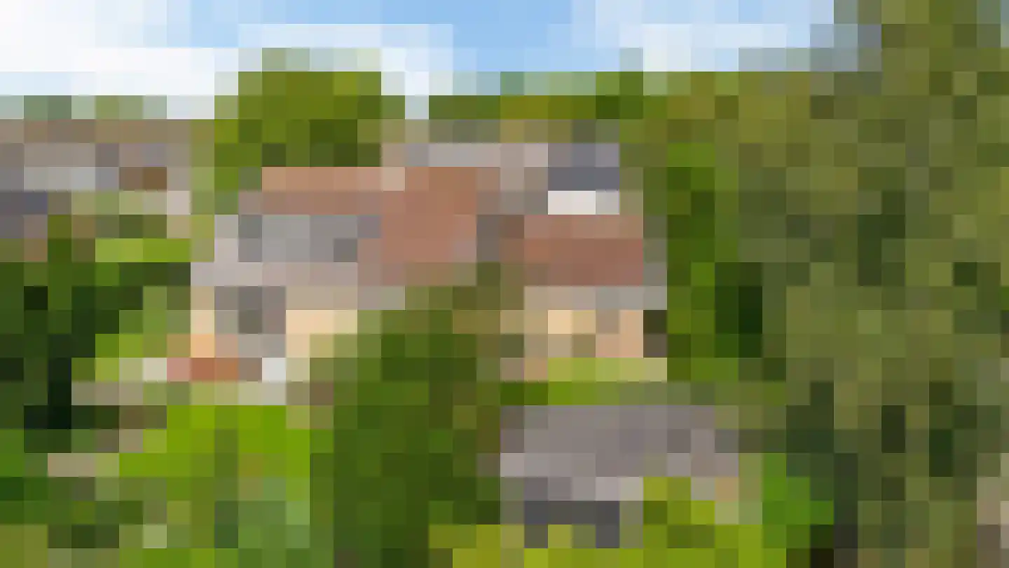 Smedeman 1 Nieuw-Vennep thumbnail 45