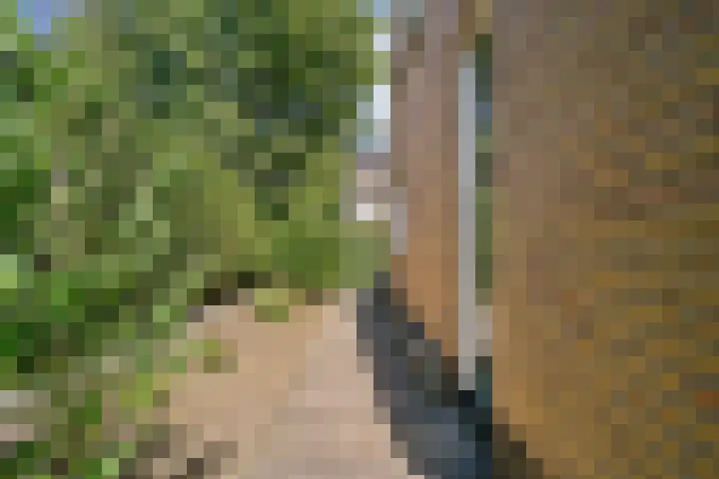 Smedeman 1 Nieuw-Vennep thumbnail 46