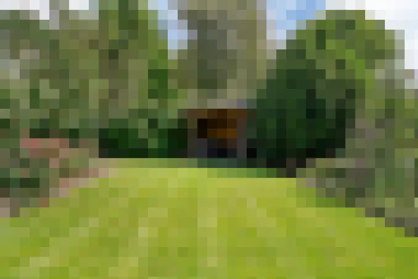 Smedeman 1 Nieuw-Vennep thumbnail 52