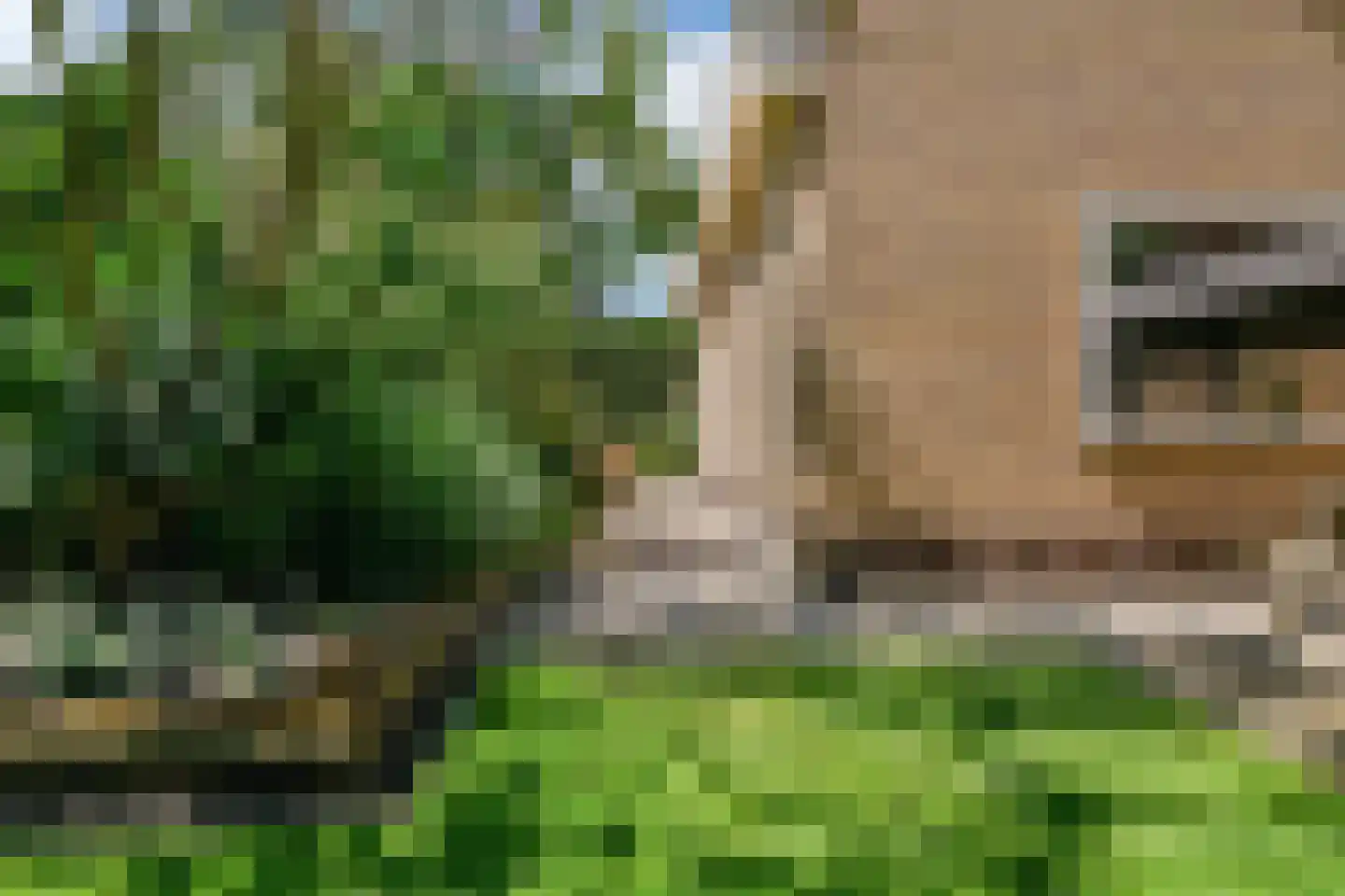 Smedeman 1 Nieuw-Vennep thumbnail 60