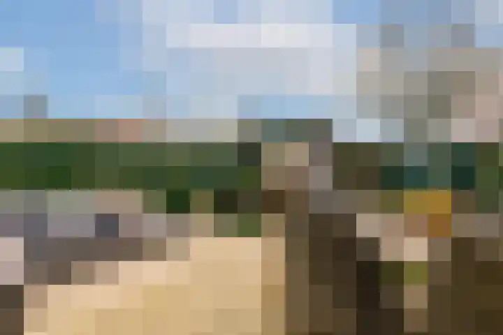 Smedemanplein 19 Amstelveen thumbnail 16
