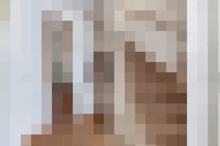 Smeden 19 Emmeloord thumbnail 10