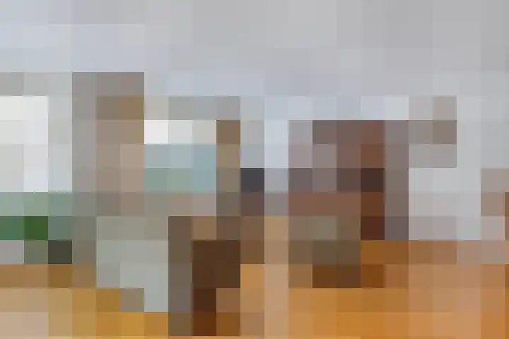 Smeden 19 Emmeloord thumbnail 12