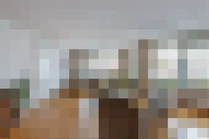 Smeden 19 Emmeloord thumbnail 14