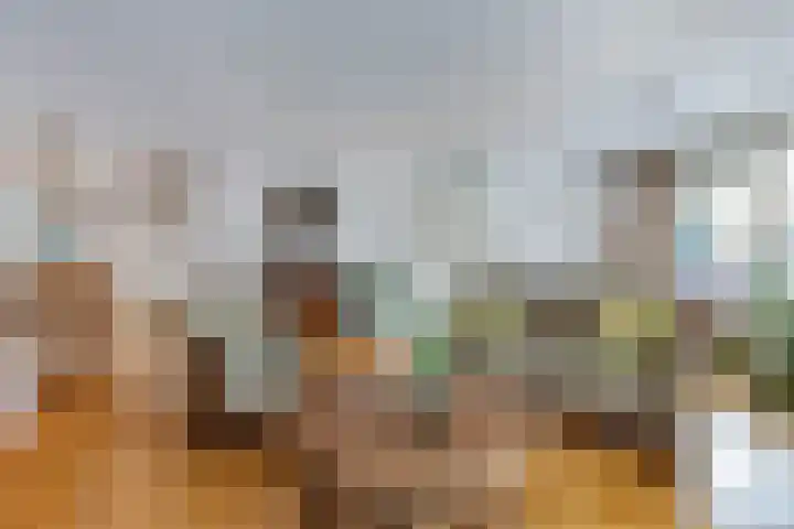 Smeden 19 Emmeloord thumbnail 15
