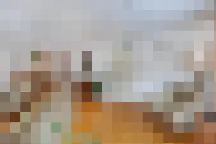 Smeden 19 Emmeloord thumbnail 16