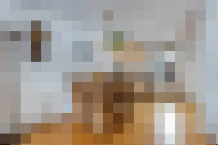 Smeden 19 Emmeloord thumbnail 17