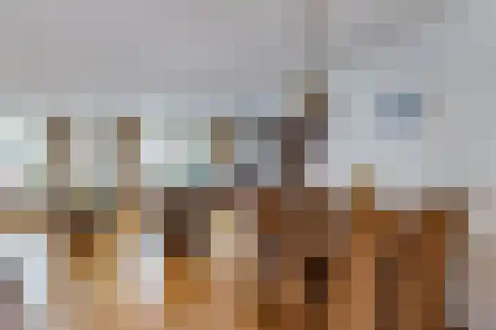 Smeden 19 Emmeloord thumbnail 18