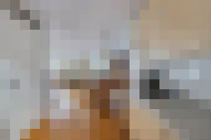 Smeden 19 Emmeloord thumbnail 20