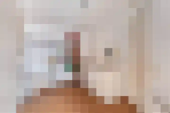 Smeden 19 Emmeloord thumbnail 21
