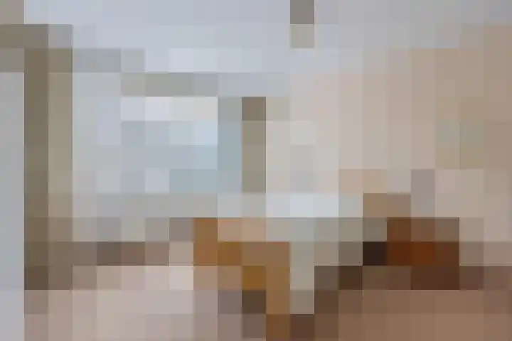 Smeden 19 Emmeloord thumbnail 26