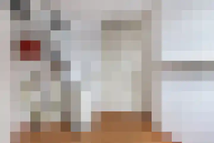 Smeden 19 Emmeloord thumbnail 29