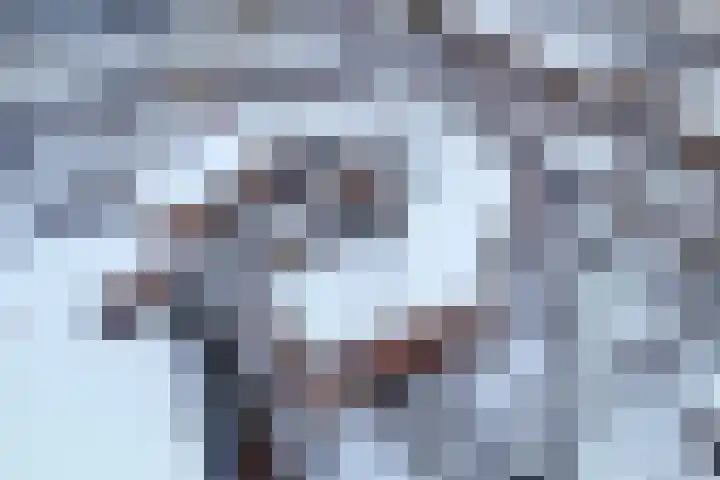 Smeden 19 Emmeloord thumbnail 36