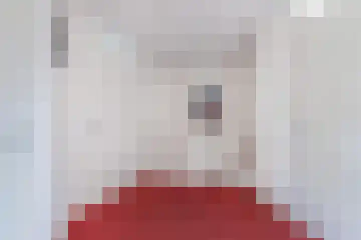 Smeden 21 Emmeloord thumbnail 28
