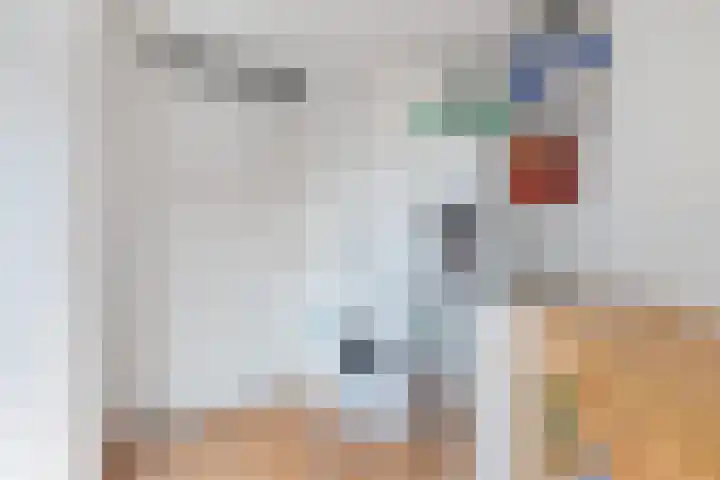 Smeden 21 Emmeloord thumbnail 38