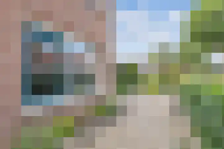 Smeden 21 Emmeloord thumbnail 4