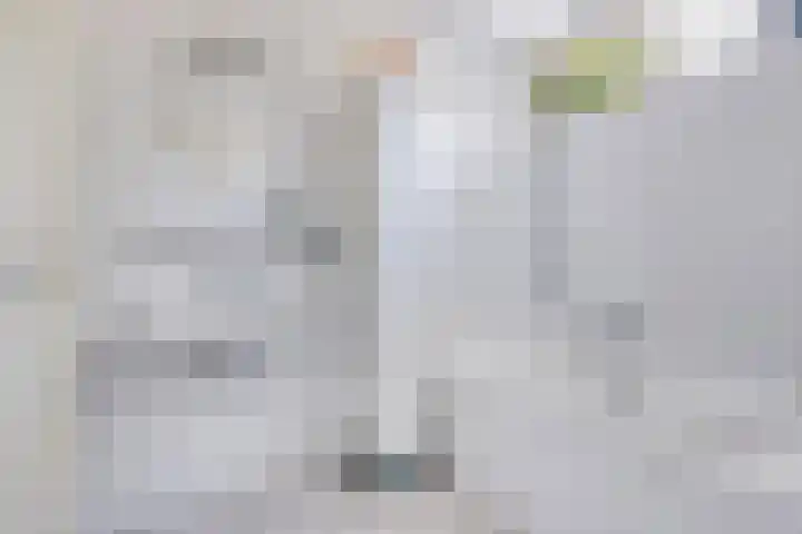 Smeden 21 Emmeloord thumbnail 40