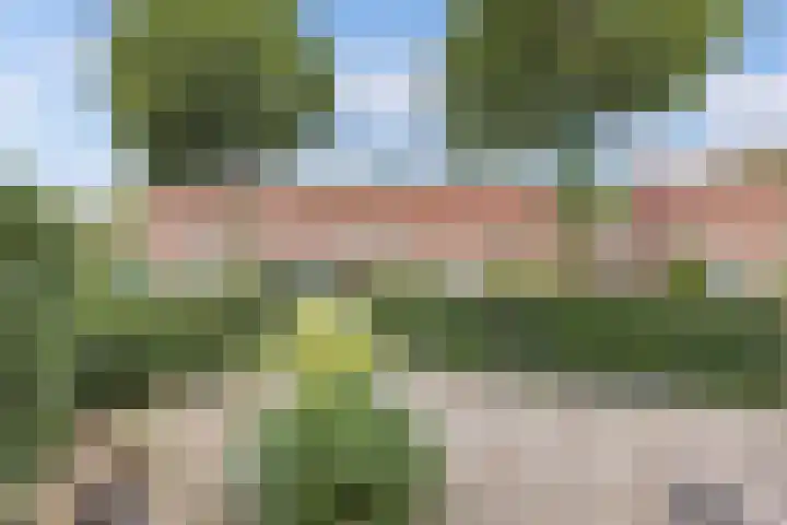Smeden 21 Emmeloord thumbnail 5