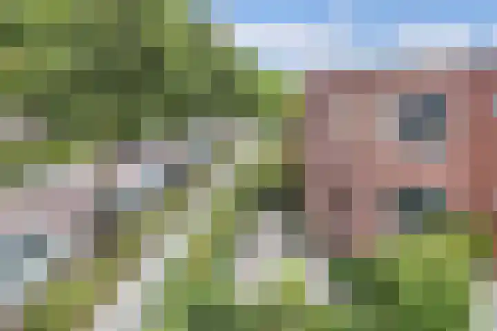 Smeden 21 Emmeloord thumbnail 8