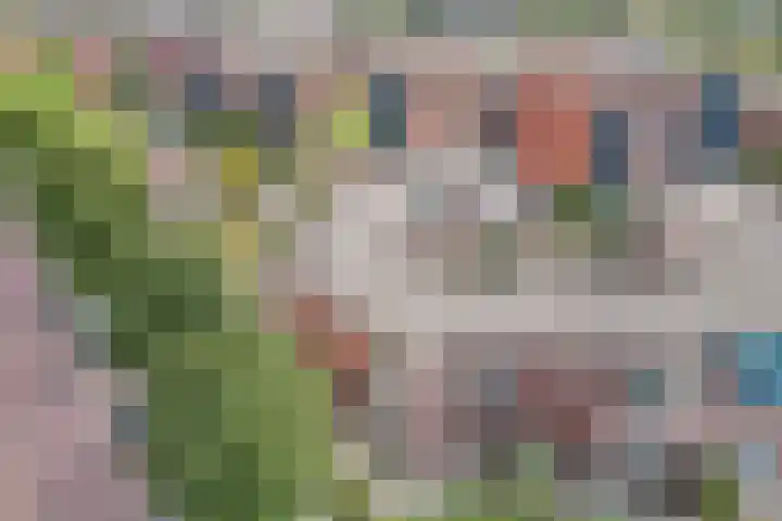 Smeden 21 Emmeloord thumbnail 9