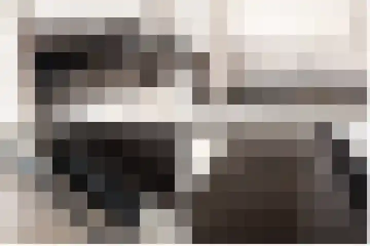 Smeden 29 Emmeloord thumbnail 12