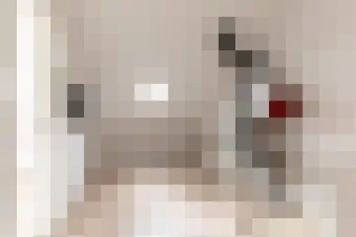 Smeden 29 Emmeloord thumbnail 25