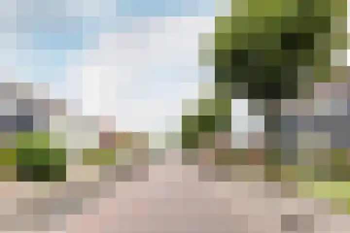 Smeden 29 Emmeloord thumbnail 36