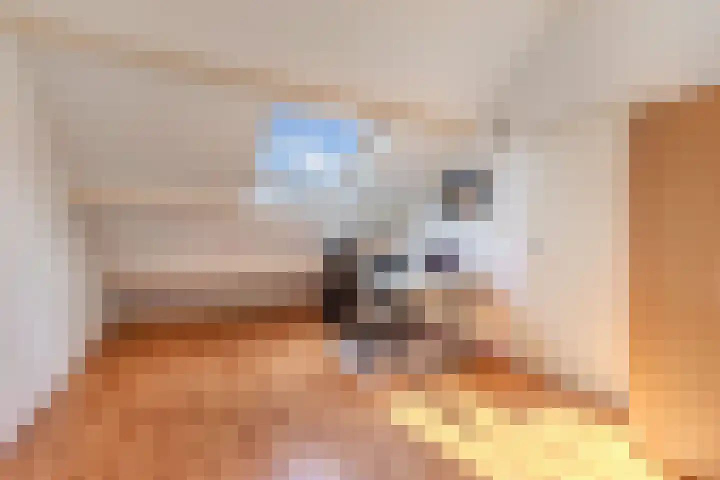 Smeden 33 Emmeloord thumbnail 38