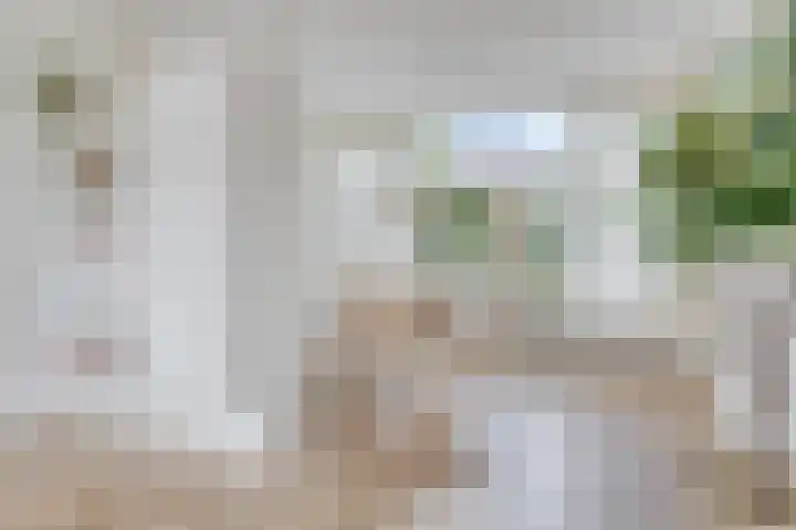 Smeden 48 Emmeloord thumbnail 11