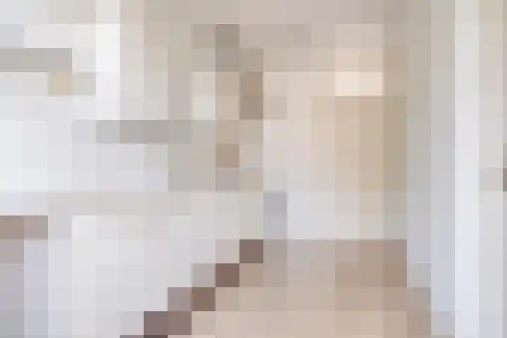 Smeden 48 Emmeloord thumbnail 15
