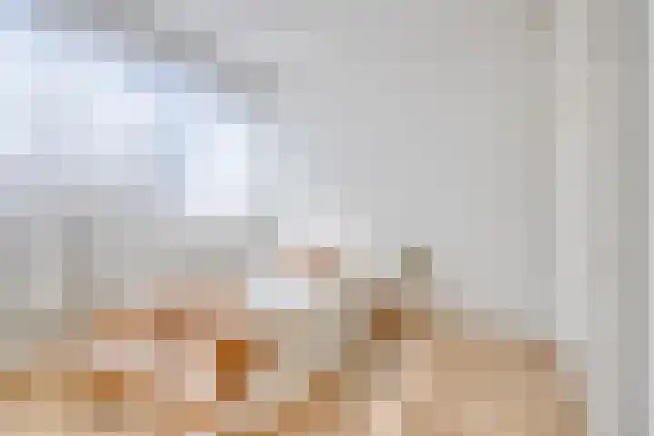 Smeden 48 Emmeloord thumbnail 26