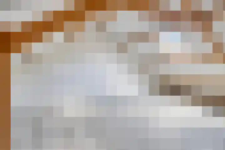 Smeden 48 Emmeloord thumbnail 34