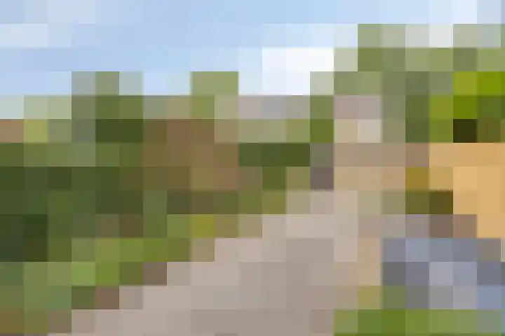 Smeden 48 Emmeloord thumbnail 35